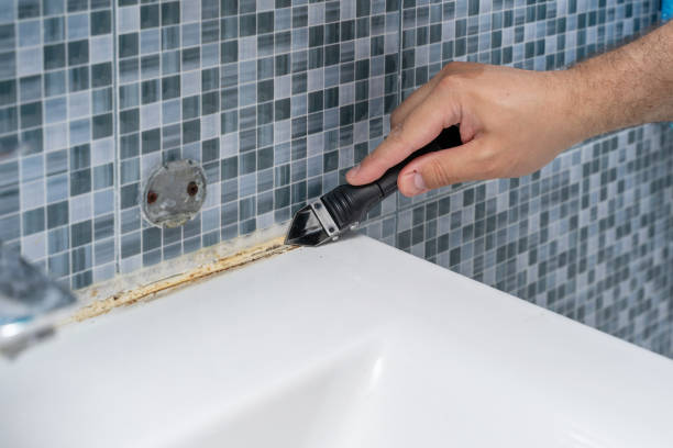  Cortland, IL Mold Removal Pros